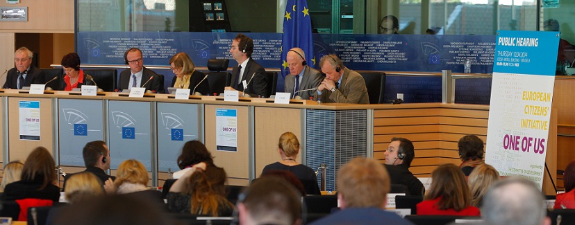 La ICE: ¿un derecho destinado al éxito o al fracaso?