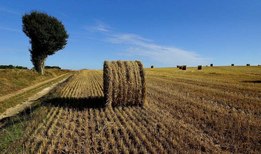 #MiPropuesta: ‘Llegar a Europa a través del mundo rural’