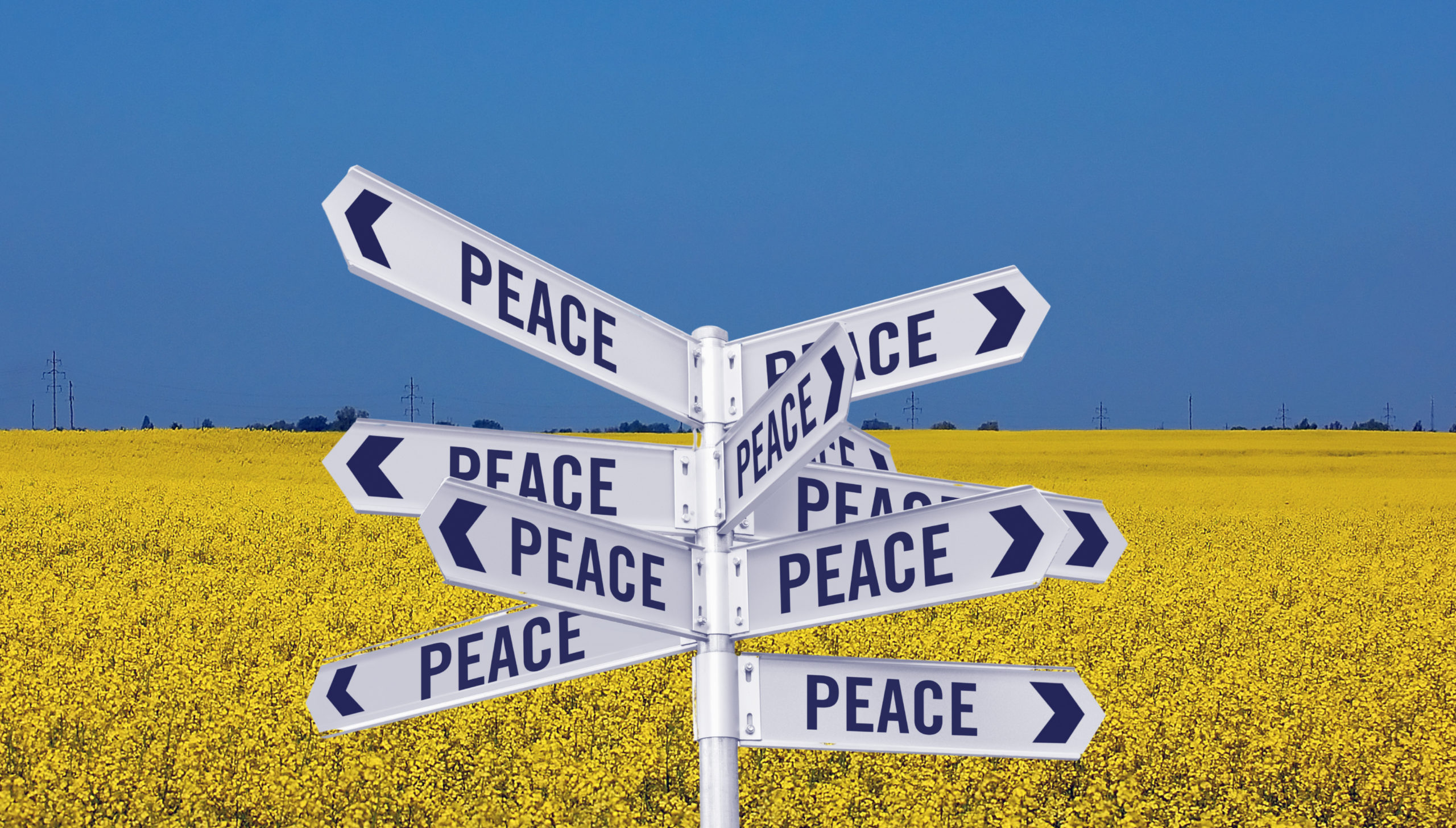 Path to peace: a strategic proposal for ending the war in Ukraine»